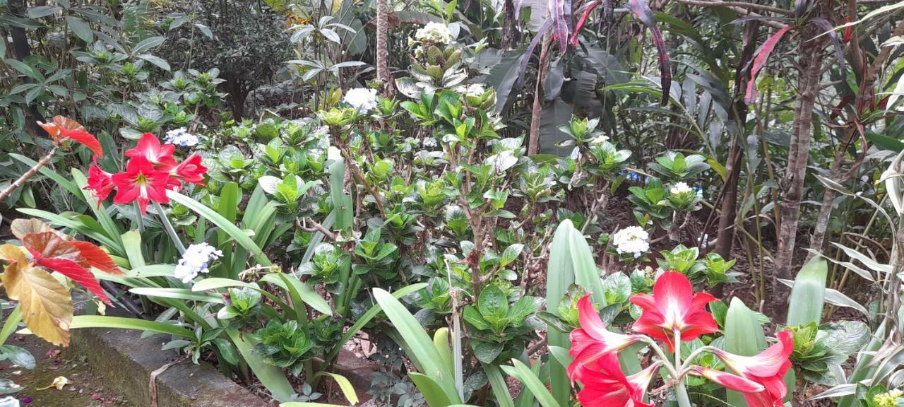 Le Farmhouse Munnar Anachal Kültér fotó