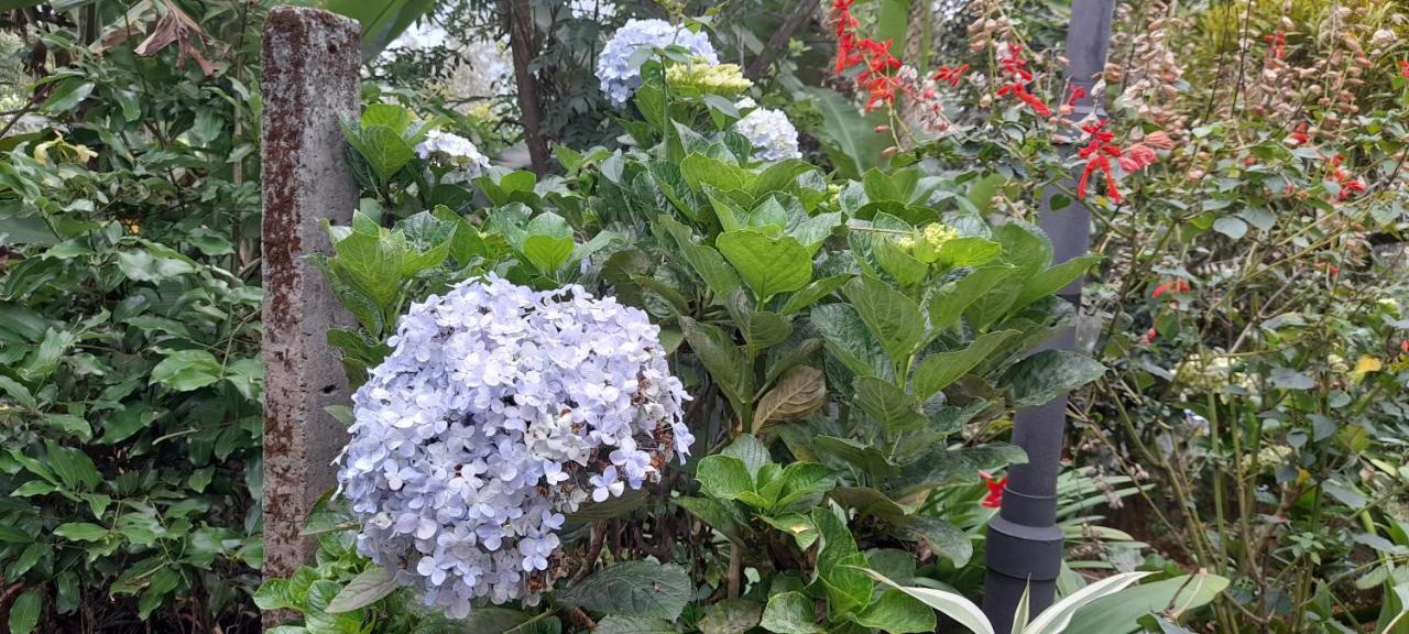 Le Farmhouse Munnar Anachal Kültér fotó