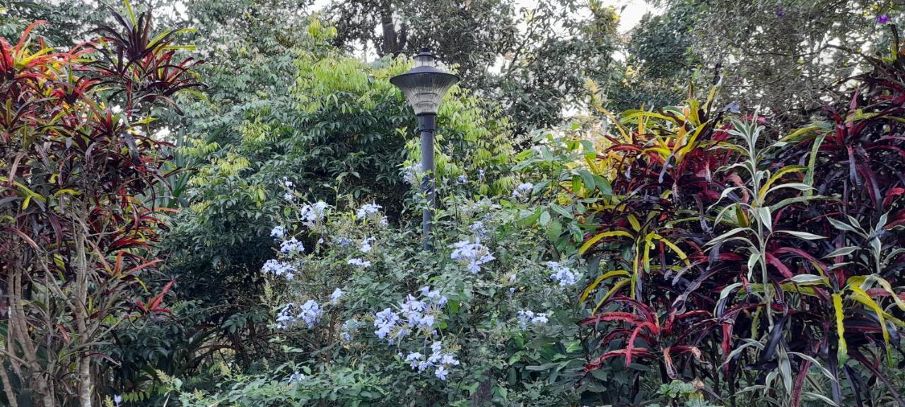 Le Farmhouse Munnar Anachal Kültér fotó
