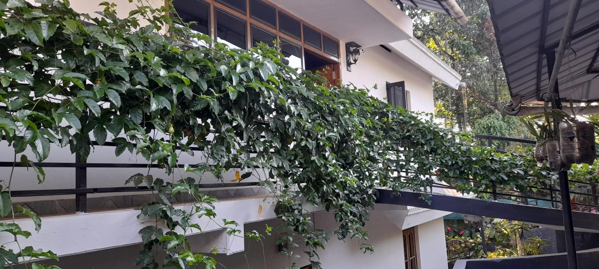 Le Farmhouse Munnar Anachal Kültér fotó