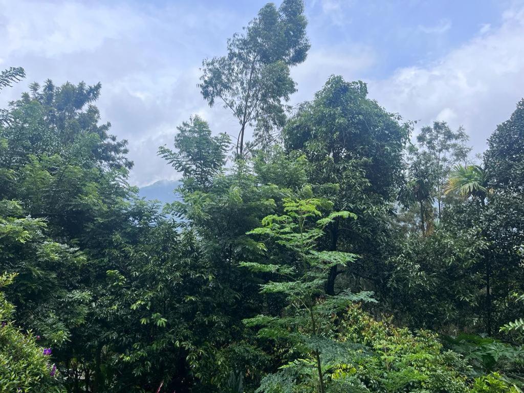 Le Farmhouse Munnar Anachal Kültér fotó