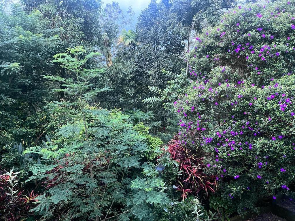 Le Farmhouse Munnar Anachal Kültér fotó